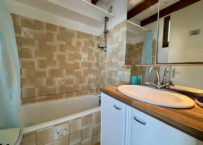 Apartment Maison 2 Pieces Avec Mezzanine 5 Couchages Saint-denis D'oleron Sdo000-062 *